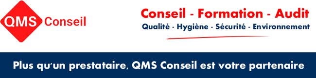 QMS Conseil Logo